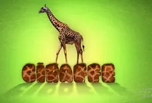 animals typography giraffes green background 1920x1080 wallpaper Art HD Wallpaper